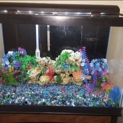 Fish Tank 
