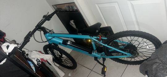 Electric bike works perfectly