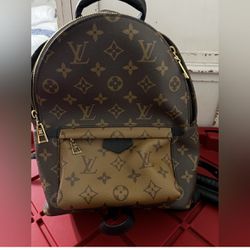 Louis Vuitton Palm Springs PM Backpack 