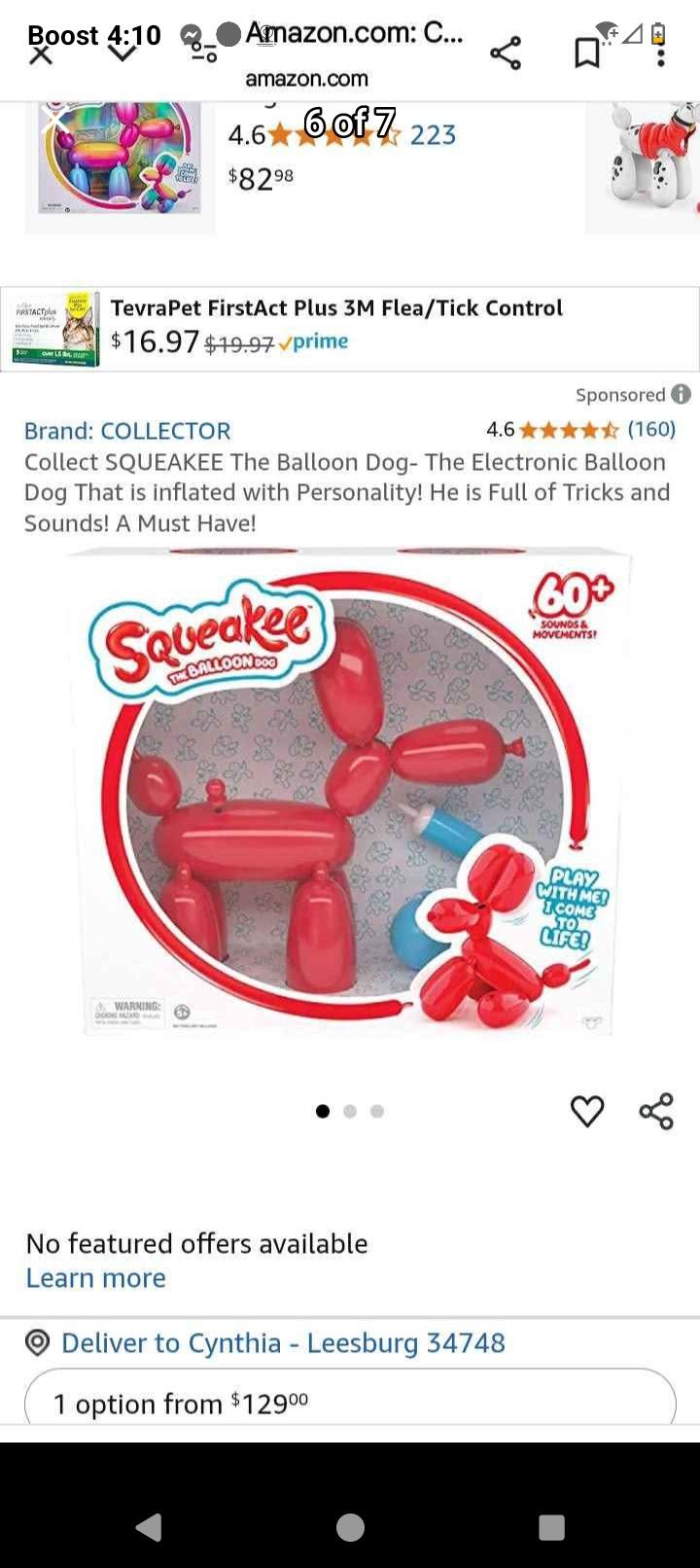 Squeaky The Robot Dog