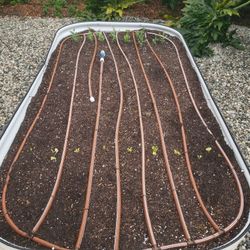 Irrigation Drip For Herb Garden