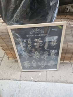 picture frame