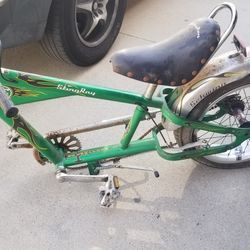 Schwinn SPECIAL BIKE