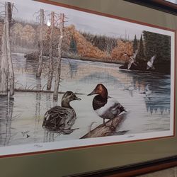 Al Dornisch 1980 Signed And Numbered 298/750 Vintage Duck Print 25" Tall 35" Wide 
