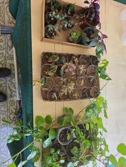 Propagations