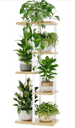 Corner Stand for Multiple Plants