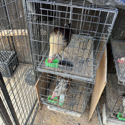 Se Venden Jaulas 