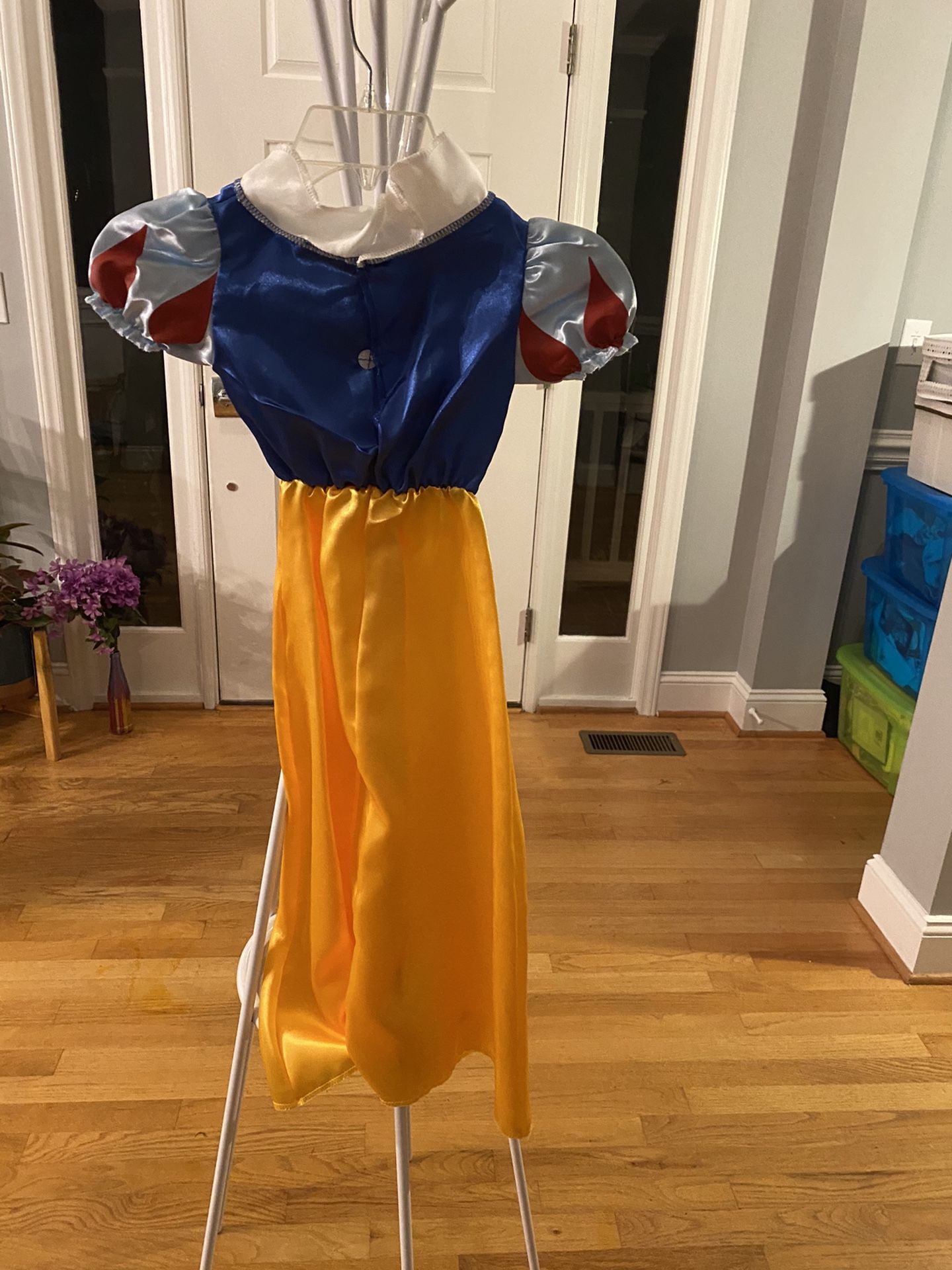 Disney Princess Costume