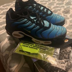 BRAND NEW AIR MAX PLUS OG W . ARCH SUPPORTS