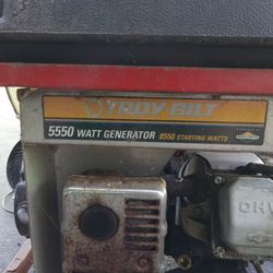 Troy Bilt 5550 Watt Generator