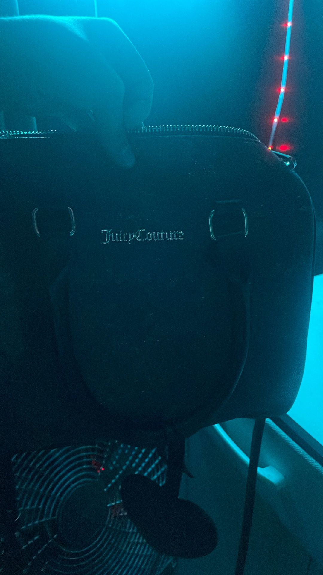 Juicy Couture Bag