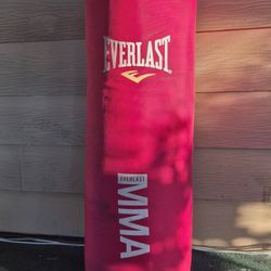 Everlast Heavy Bag
