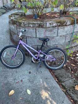 Kids Bike - 20” - $100