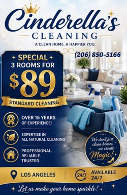 Cleaning for less!