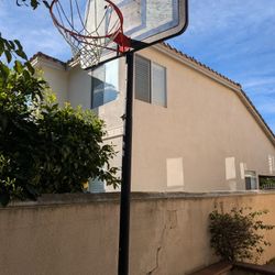 Basketball Hoop