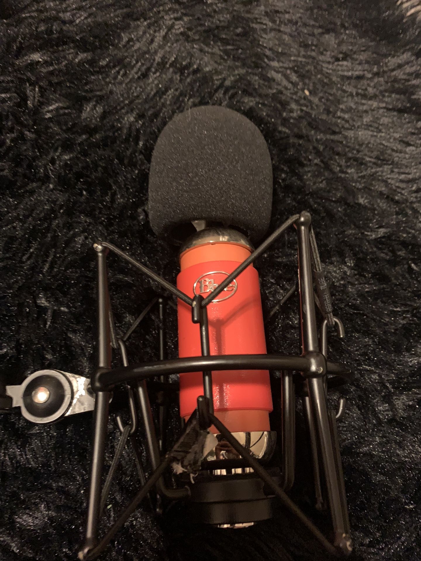 Bluebird Microphone