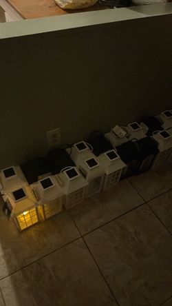 Solar lantern lights