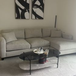 couch & coffee table 