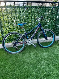 LIV ENCHANT YOUTH BIKE 24” Wheels