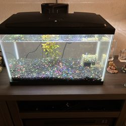 Brand New Fish Tank With  Filters