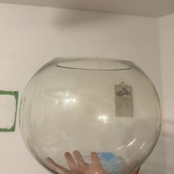 Large fishbowl / terrarium