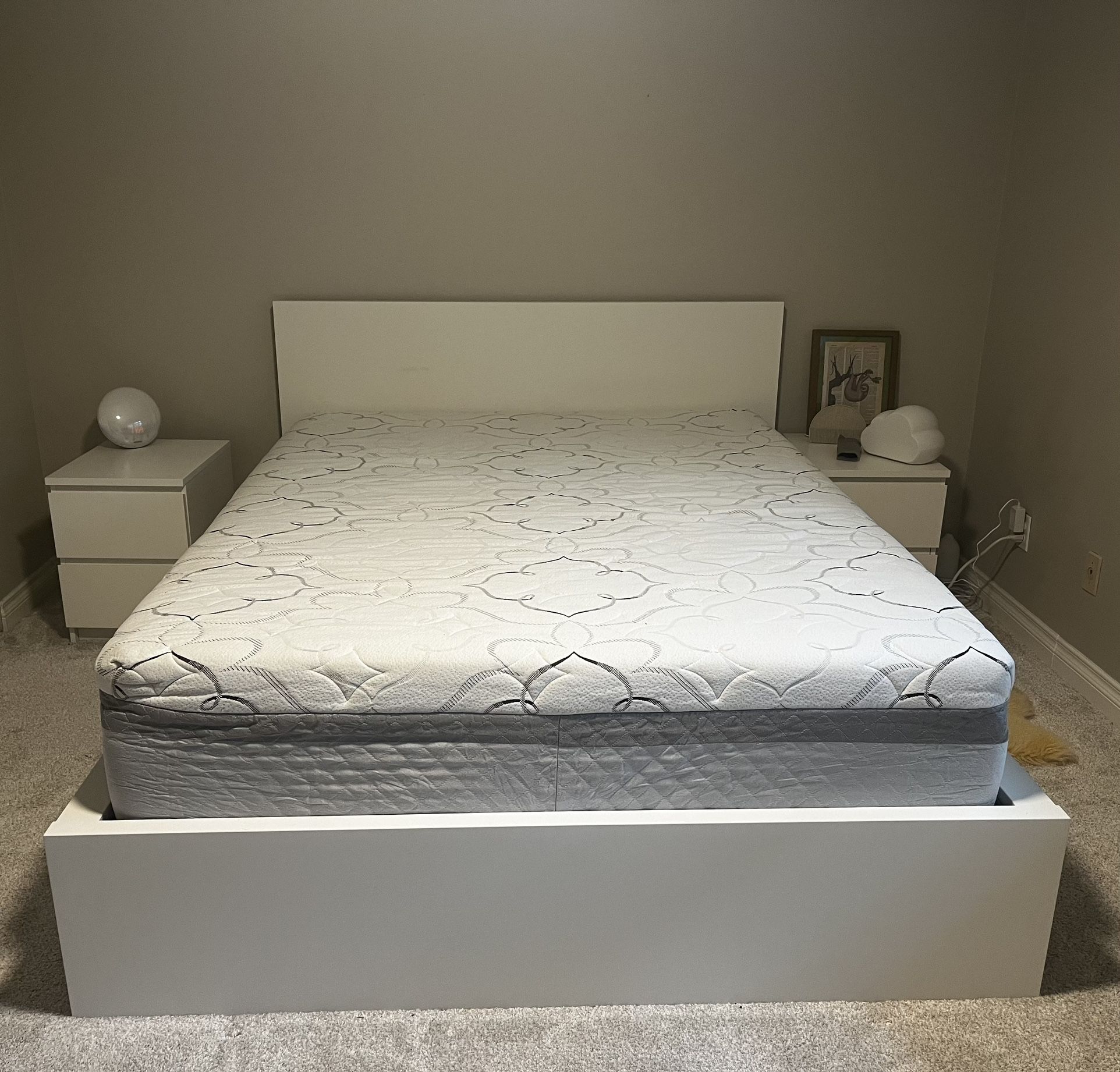 Queen Bed Frame & Mattress
