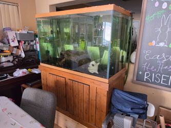 150g fresh water aquarium  with stand and filters