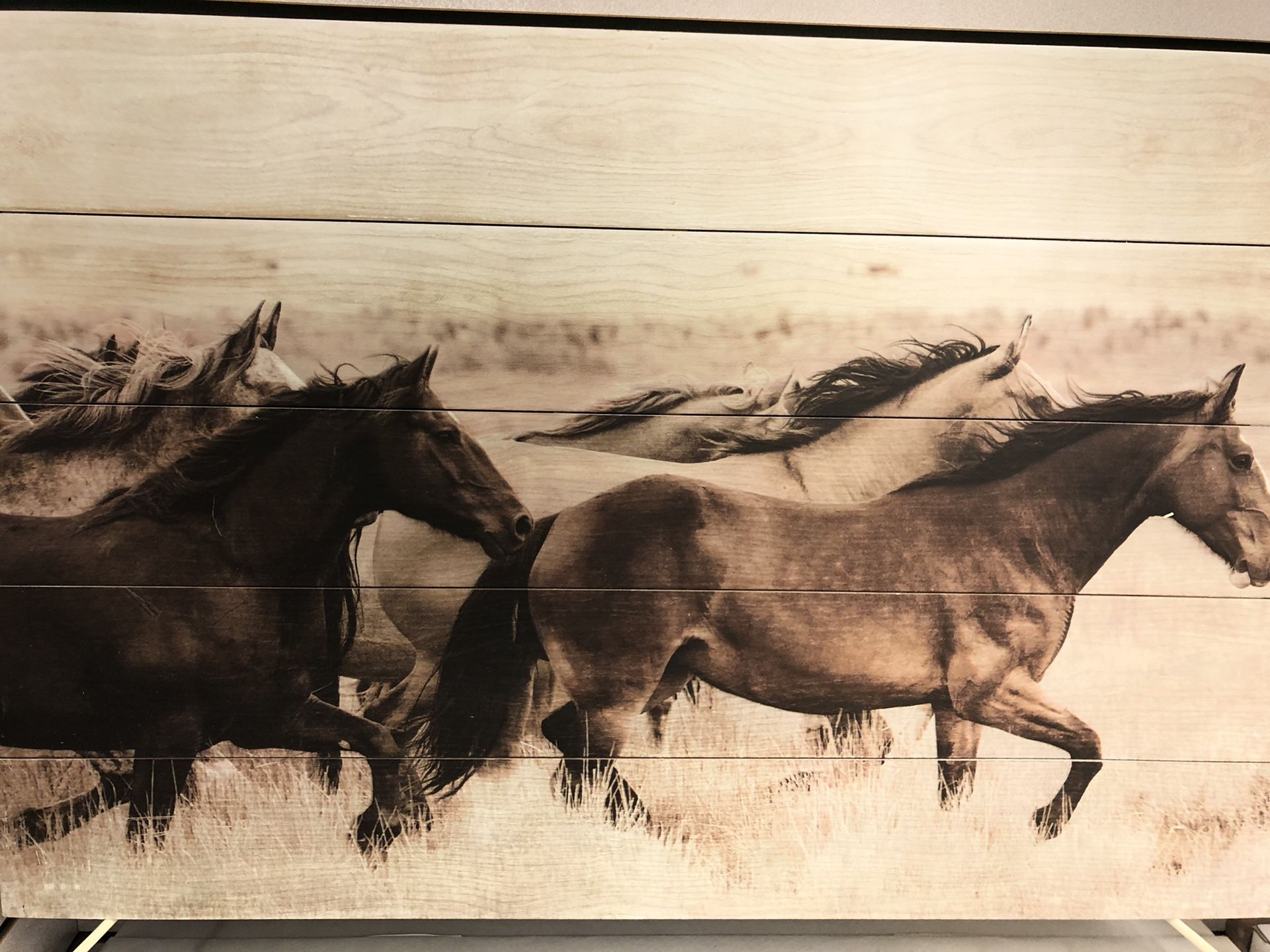 Painted galloping horses on wooden plank board