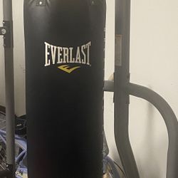 Everlast Punching Bag With Stand