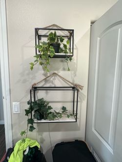Wall decoration, plant holder