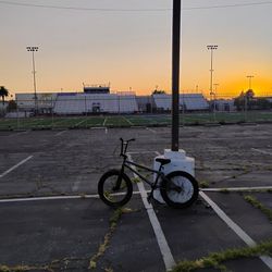 Elite BMX