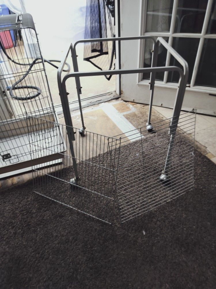 Bird Cage