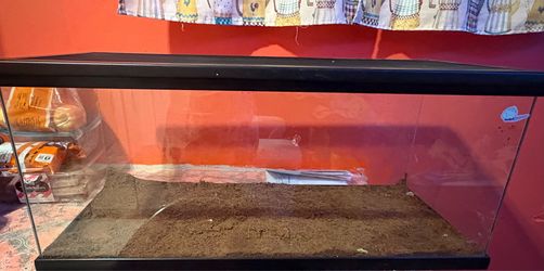 Reptile tank