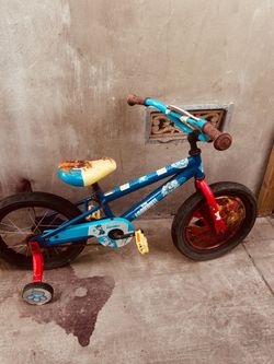 Paw Patrol Kids Bike with Training Wheels