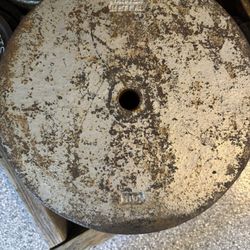 100 Lb Weight Plates (x2)