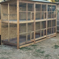 bird cage 