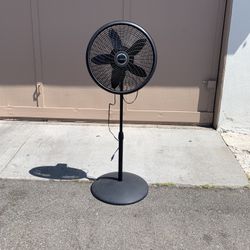 Fan 