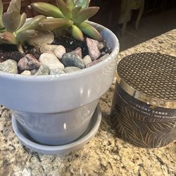 2 Succulents And Candle