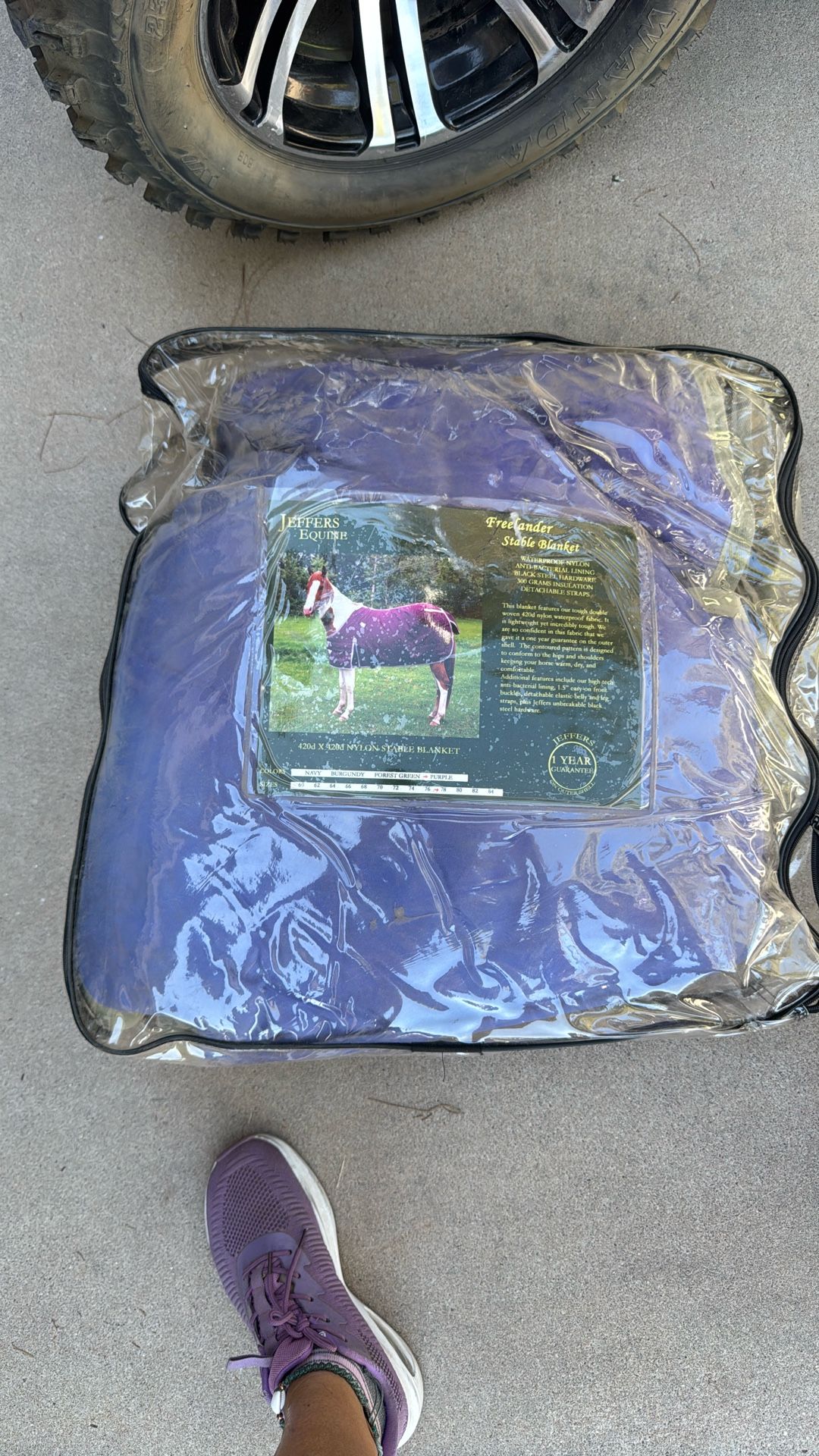 Horse Blanket