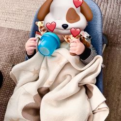 BABY BJORN baby Bouncer