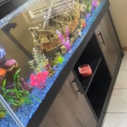 Fish Tank