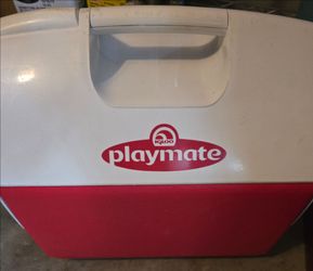 Cooler 16 Quart