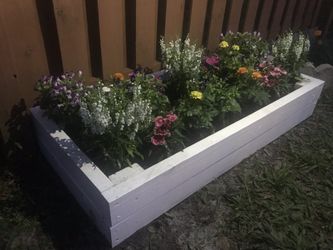 Garden Box white
