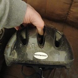 Schwinn Adult Bicyclist Helmet