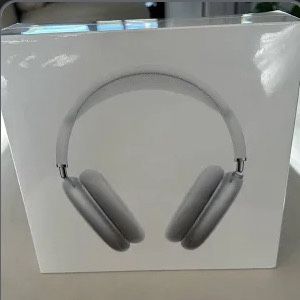 AirPods Max Silver