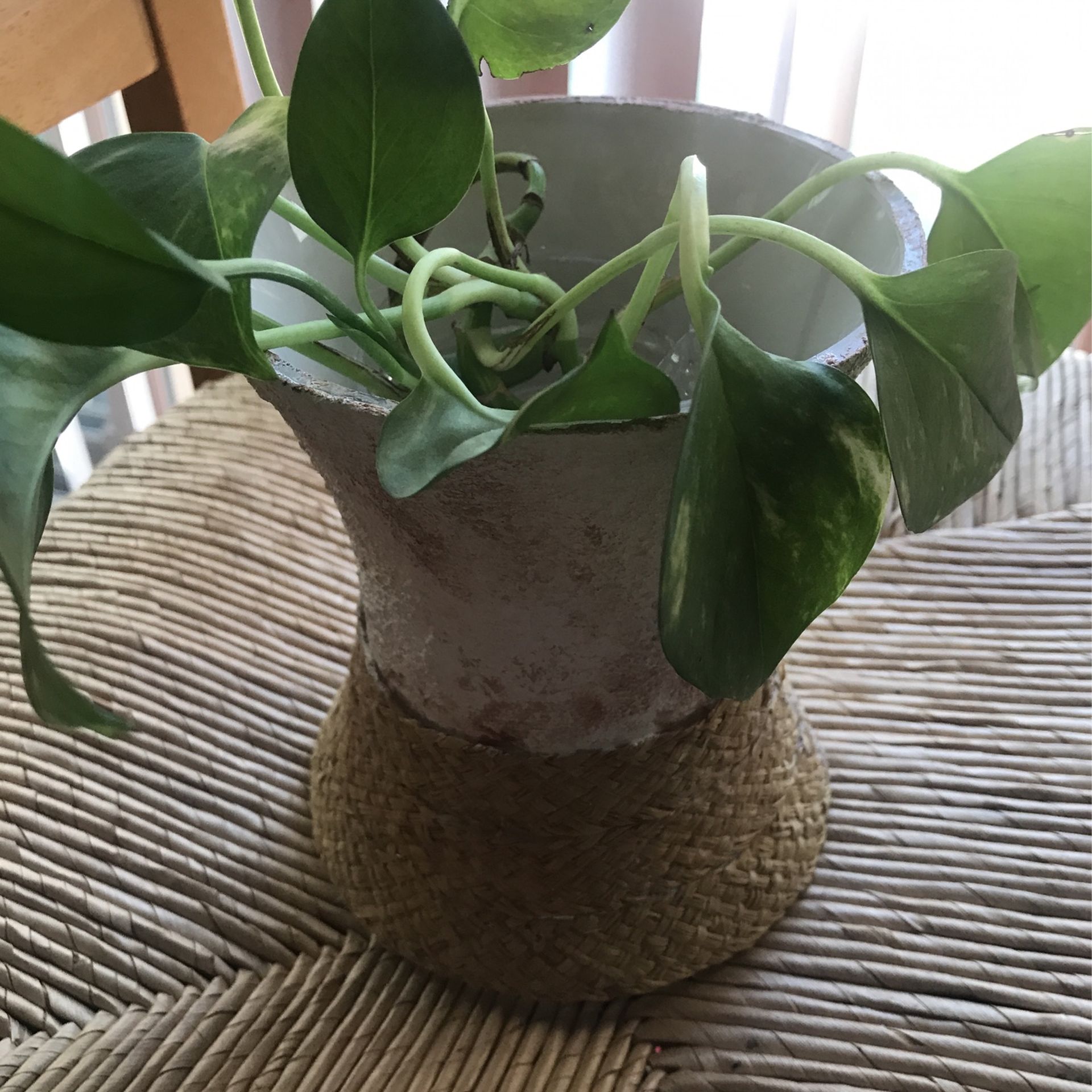 Glass Vase With Jute Trim