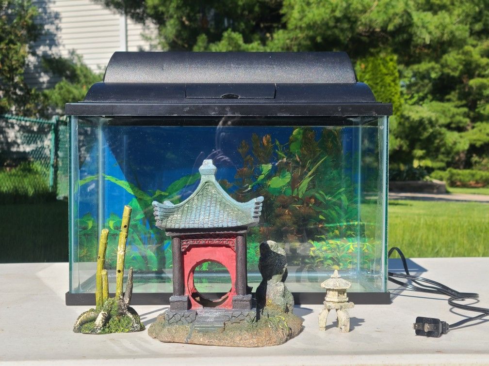 5.5 Gallon Aquarium/Terrarium With Light Fixture, Decorations,2-sided Background,Hang On Power Filter, Size16×8×10"