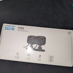 Blink mini Camera 2 Pack