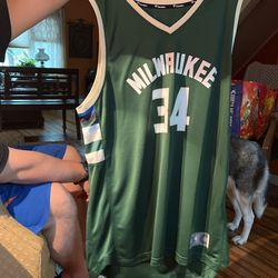 Giannis Antetokounmpo