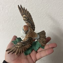 Lennox Chipping Sparrow 